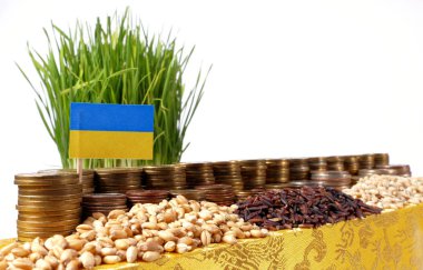 Para sikke ve buğday yığınları yığını ile sallayarak Ukrayna bayrağı