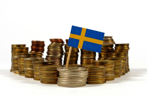 İsveç bayrağı sallayarak para sikke yığını ile