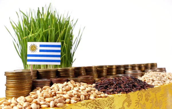 Bandera de Uruguay ondeando con pila de monedas de dinero y montones de trigo — Foto de Stock