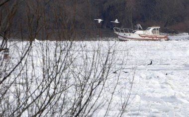 Belgrad, Sırbistan için dondurulmuş Tuna Nehri