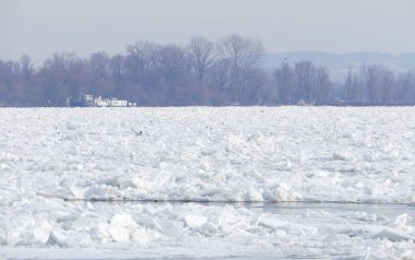 Belgrad, Sırbistan için dondurulmuş Tuna Nehri