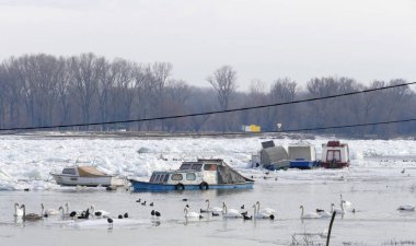 Belgrad, Sırbistan. 16th Ocak 2017: Belgrad, Sırbistan için dondurulmuş Tuna Nehri botlara tuzağa