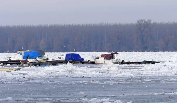 Белград, Сербия. 16 января 2017: Ловушки в замерзшей реке Дунай в Белграде, Сербия — стоковое фото