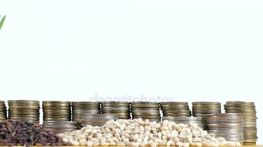 Fas bayrak sallayarak para sikke ve buğday ve pirinç tohumu yığınları yığını ile