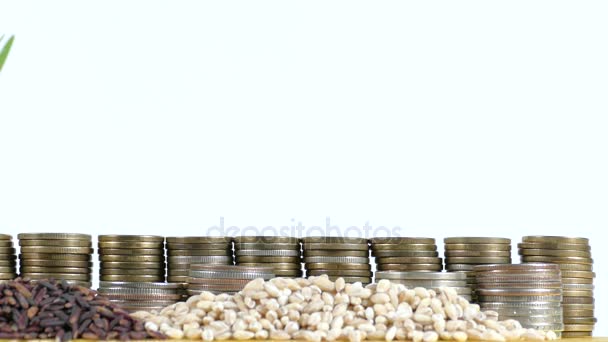 Νέα Ζηλανδία σημαία κυματίζει με στοίβα νομίσματα χρήματα και σωρούς από σπόρους σιταριού και ρυζιού — Αρχείο Βίντεο
