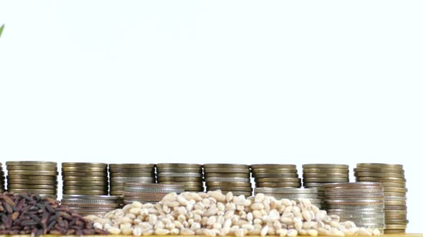 Drapeau de Roumanie agitant avec une pile de pièces de monnaie et des piles de blé et de graines de riz — Video