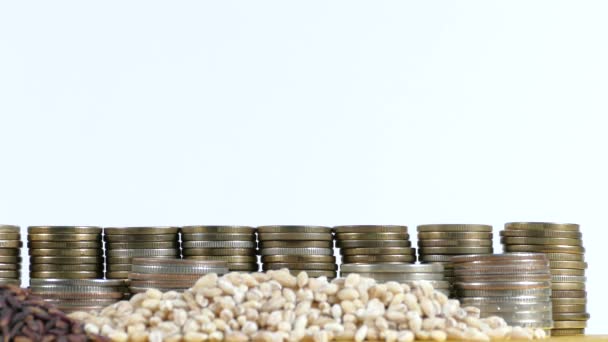 Senegal flag waving with stack of money coins and piles of wheat and rice seeds — Stock Video