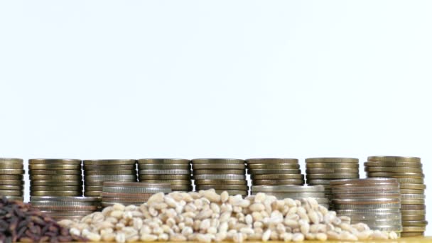 Drapeau de Slovénie agitant avec une pile de pièces de monnaie et des piles de blé et de graines de riz — Video