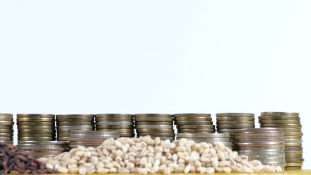 Bandera de Tanzania ondeando con un montón de monedas de dinero y montones de semillas de trigo y arroz — Vídeo de stock