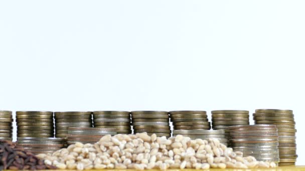 Tunisia flag waving with stack of money coins and piles of wheat and rice seeds — Stock Video