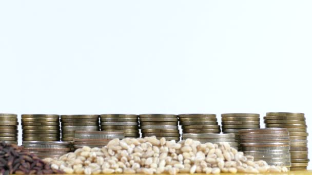 Bandeira dos Emirados Árabes Unidos acenando com pilha de moedas de dinheiro e pilhas de sementes de trigo e arroz — Vídeo de Stock