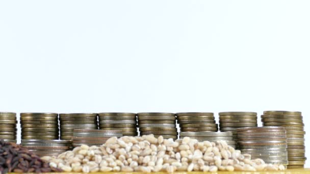 Bandeira do Usbequistão acenando com pilha de moedas de dinheiro e pilhas de sementes de trigo e arroz — Vídeo de Stock