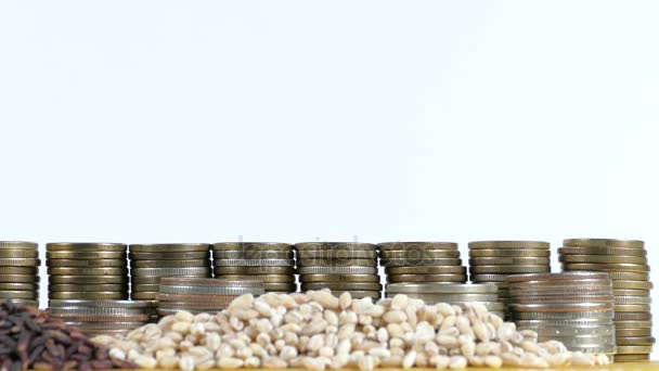 Vatican City flag waving with stack of money coins and piles of wheat and rice seeds — Stock Video