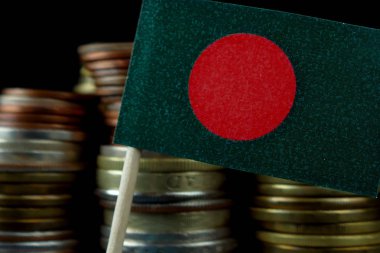 Para sikke makro yığınıyla sallayarak Bangladeş bayrağı