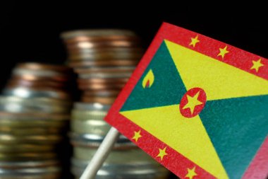 Para sikke makro yığınıyla sallayarak Grenada bayrağı