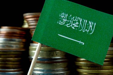 Para sikke makro yığınıyla sallayarak Suudi Arabistan bayrağı