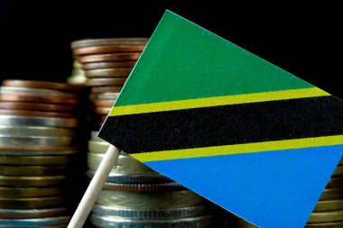 Tanzanya bayrak para sikke makro yığınıyla sallayarak