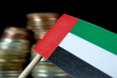 Para sikke makro yığınıyla sallayarak Birleşik Arap Emirlikleri bayrağı