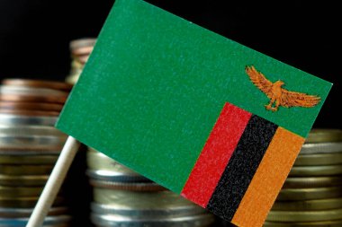 Para sikke makro yığınıyla sallayarak Zambiya bayrağı