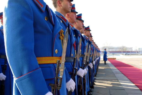 贝尔格莱德，塞尔维亚。2017 年 1 月 31 日︰ 荣誉卫兵单位军队的塞尔维亚共和国高原站着不动 — 图库照片