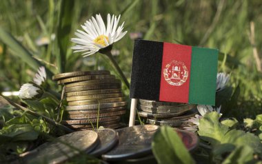 Çim ve çiçek ile para sikke yığını ile Afganistan bayrağı