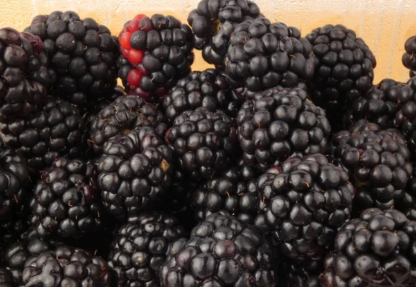 Черные ягоды закрываются, стакан полон черных ягод — стоковое фото