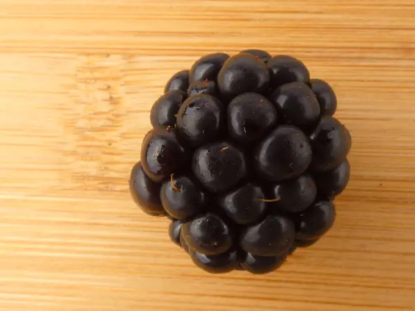 One blackberry close up on wooden plank isolated — Stock Photo, Image