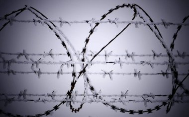 Barb tel çit, soğuk kış günü