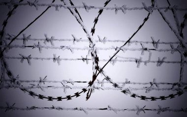 Barb tel çit, soğuk kış günü