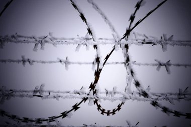 Barb tel çit, soğuk kış günü
