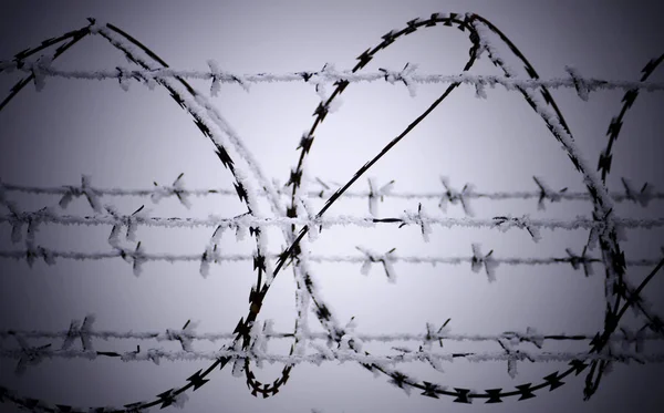 Barb tel çit, soğuk kış günü