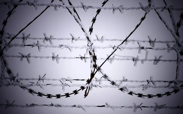 Barb tel çit, soğuk kış günü