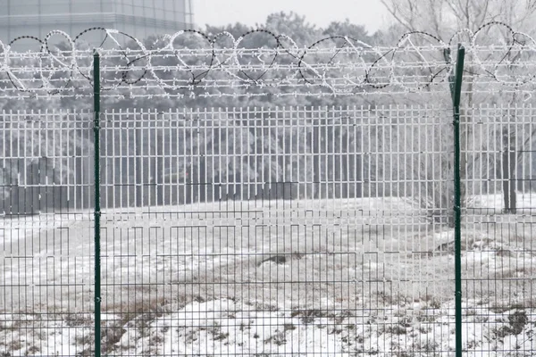 Барб дріт паркан в холодний зимовий день — стокове фото