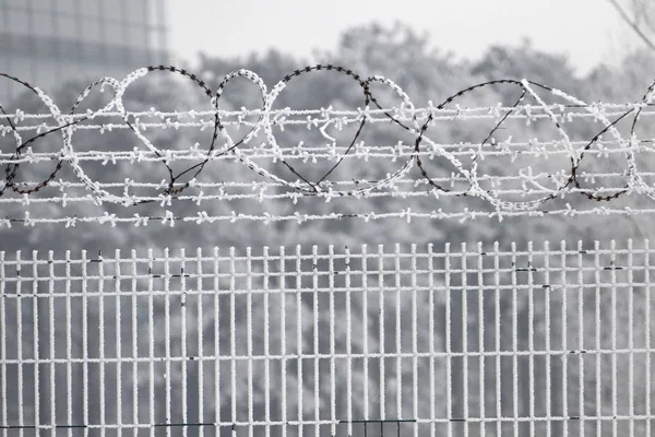 Ogrodzeniem z drutu haczyka w chłodne zimowe wieczory — Zdjęcie stockowe