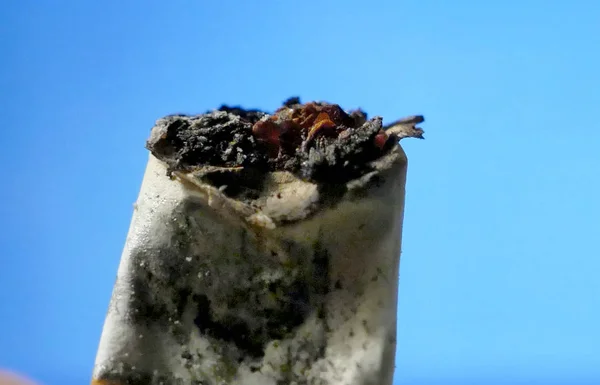 Um cigarro queimado macro tiro fundo isolado — Fotografia de Stock