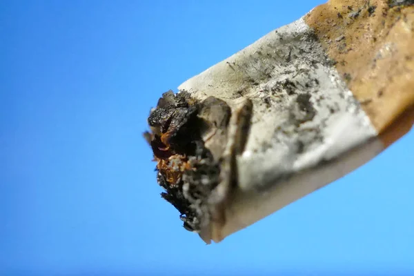 Один сожженный сигаретный макро выстрел изолированный фон — стоковое фото