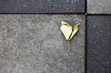 Sevgililer Günü konsepti. Yaprak, kalp şeklinde. Soyut taş arkaplanı.