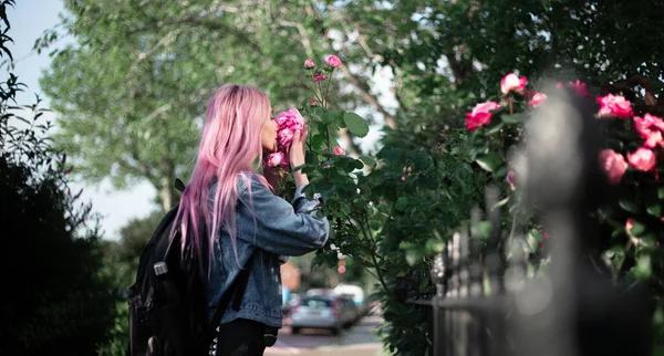 Portrait Young Girl Pink Hair Sniffing Rose Flower — Stock Photo, Image