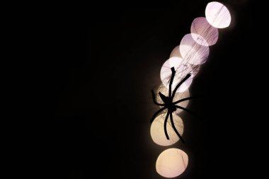 Örümcek siluetinin yakın plan görüntüsü, Bokeh ile koyu arkaplan.