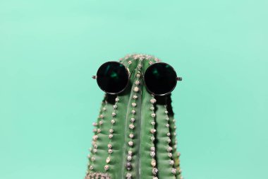 Güneş gözlüğü takan yeşil kaktüslerin yakın plan portresi, su menilerinin arka planında izole edilmiş..