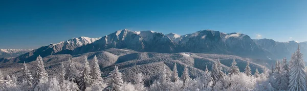 冬季阳光普照的雪山森林全景 — 图库照片