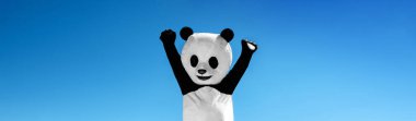 Panoramic portrait of man in costume of panda with hands up, on background of blue sky. clipart