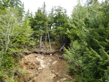 Sonrasında bir heyelan 