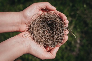 Küçük kuş yuvası. Kadınların elinde kuş yuvası