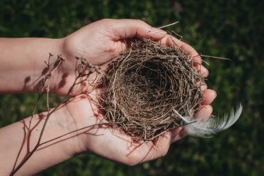 Küçük kuş yuvası. Kadınların elinde kuş yuvası