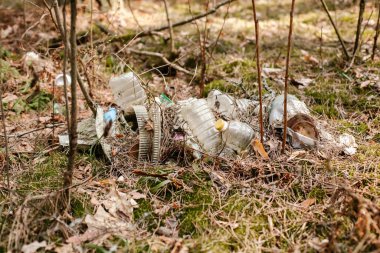 Ormandaki çöpler - ekoloji - eski kirli plastik şişeler ve kırık camlar. Ormanın ekolojisi. Doğanın kirliliği.