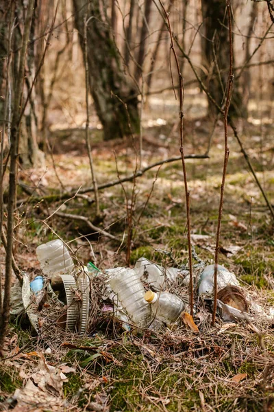 Śmieci Lesie Ekologia Stare Brudne Plastikowe Butelki Zbite Szkło Ekologia — Zdjęcie stockowe