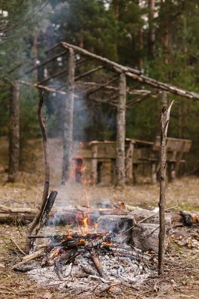 Obszar Piknikowy Lesie Ognisko Kemping Kominek — Zdjęcie stockowe