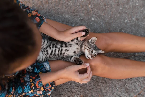 Una chica está acariciando en la calle un hermoso gato sin hogar —  Fotos de Stock