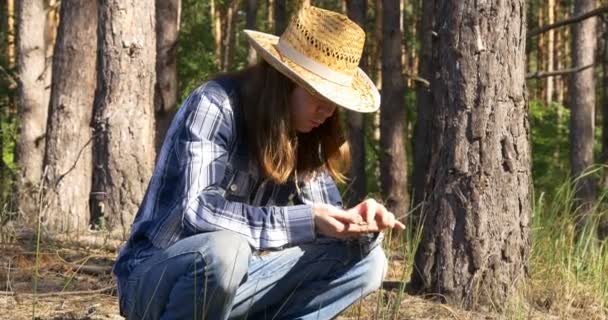 Mladý muž sedí na zemi a zkoumá půdu v borovém lese — Stock video